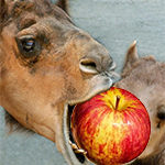 Profilbild von Linda